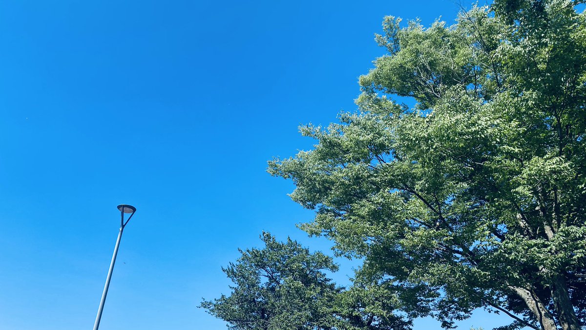 CameraMog's tweet photo. どこにも行けてないので昨年の夏の写真でも📸

#風景
#カメラ女子 
#カメラ初心者 https://t.co/QZWWnjMcsB