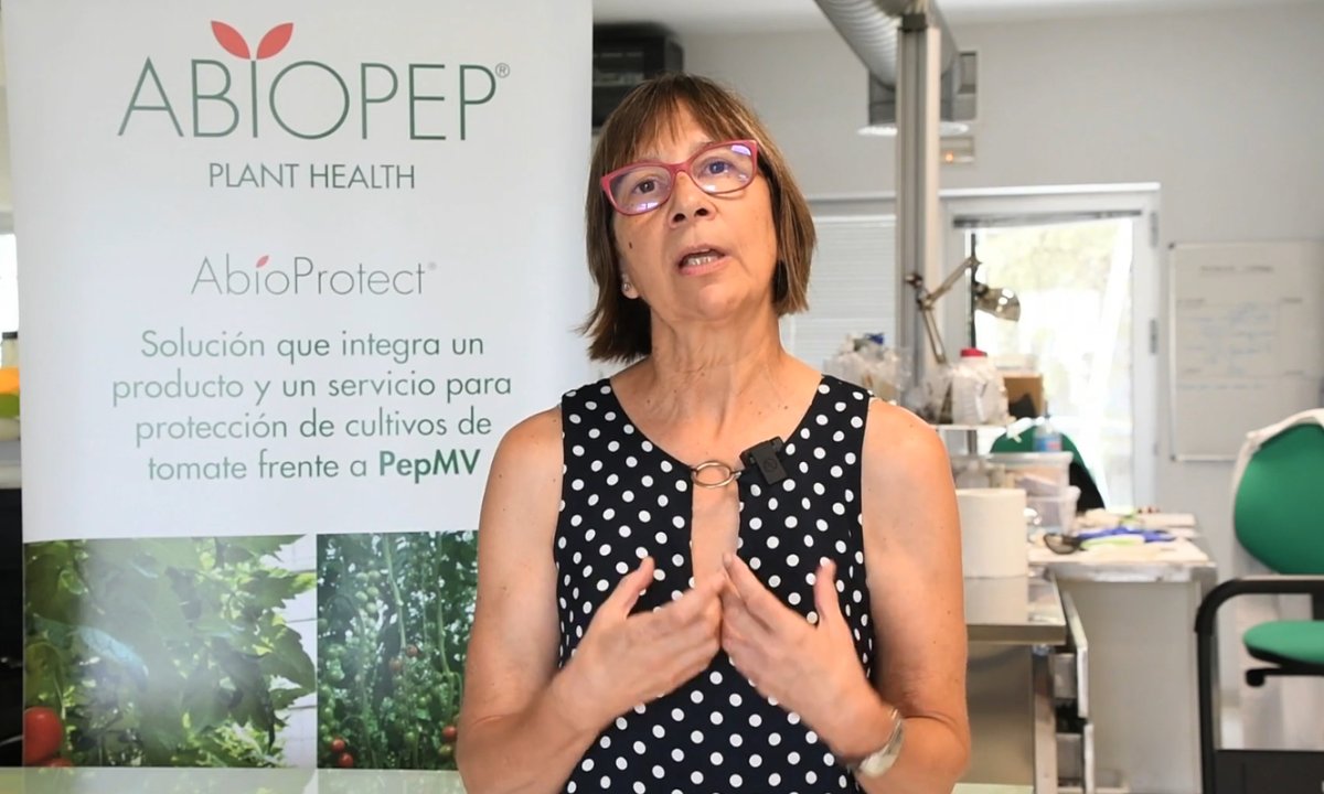 Murcia_Startup's tweet photo. 🫑 @Abiopep lidera un proyecto europeo para reducir los daños del #cambioclimático a las hortalizas

▶️ https://t.co/rmvdzV2Jj3

#Empresamurciana #biotecnologia #startups https://t.co/QLXPv8b3Fh