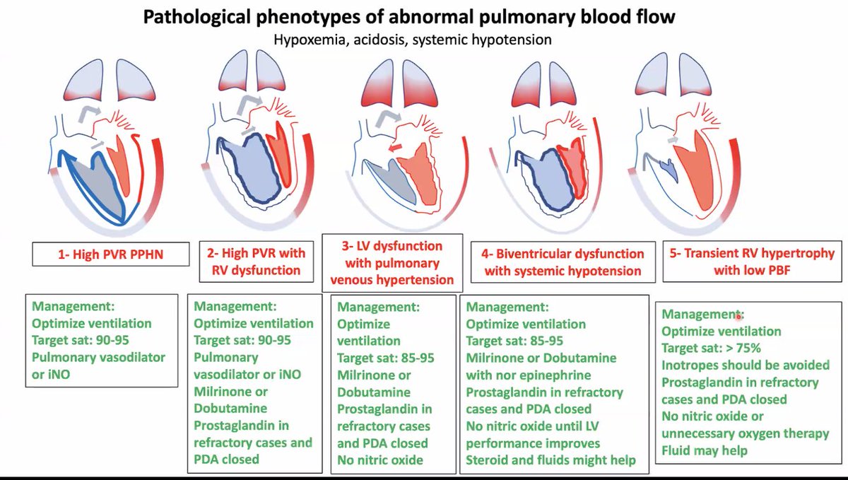 NeoHemodynamics's tweet photo. Dr. Yasser Elsayed's talk The Integrated Evaluation of Hemodynamics in the NICU is on YouTube: https://t.co/Y4E2a43Sek excellent overview of physiology, multimodal assessments, phenotypes of hemodynamic instability and the impact on clinical outcomes. #neotwitter #NHTSASE https://t.co/Ls2pi4gd0n