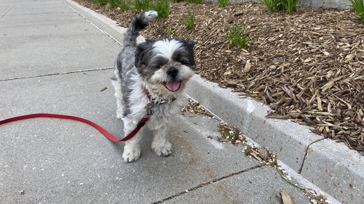 Mark Stitz tweet media