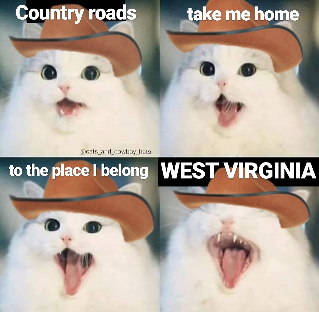 CowboyCats's tweet photo. https://t.co/hXzk2UwMpZ