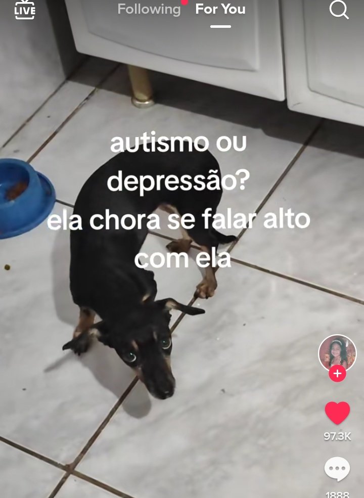 infjfavs's tweet photo. infjs que https://t.co/JVcd63iI8T