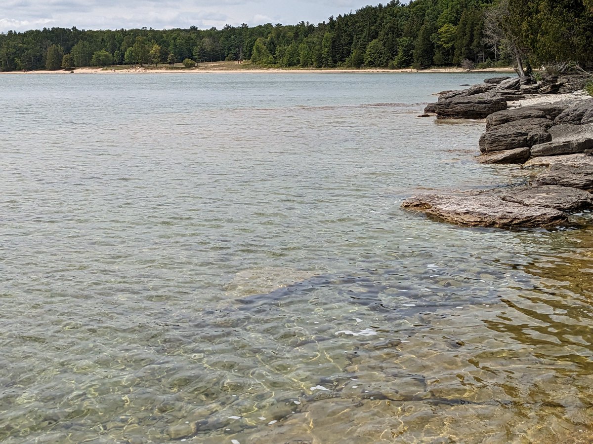 How did we spend our summer vacation? 
- 12 new majors and counting
- 8 graduate and six undergraduate fellows for AY24
- $765K in new grants
- Applications for $6.4M more

But also finding time to reconnect with family &amp; friends and enjoy the planet we care about sustaining!
