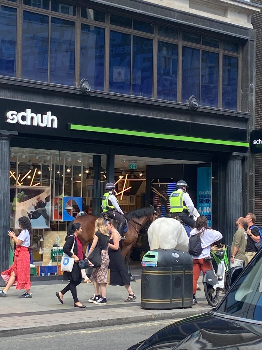 ‘Listen we can TRY, but I really doubt they sell your kind of shoes’