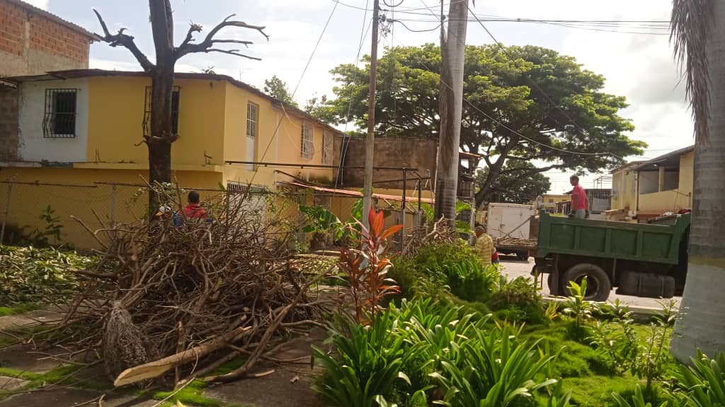 📍Nuestra gente de Mantenimiento, IMAUR y 12 de febrero se encargan todos los días de la recolección de desechos sólidos, podas, desmalezamiento y embellecimiento de las áreas comunes y de esparcimiento en nuestro municipio.

¡Gobernamos para Servir! 🤝🏻😎

<a href="/NicolasMaduro/">Nicolás Maduro</a>