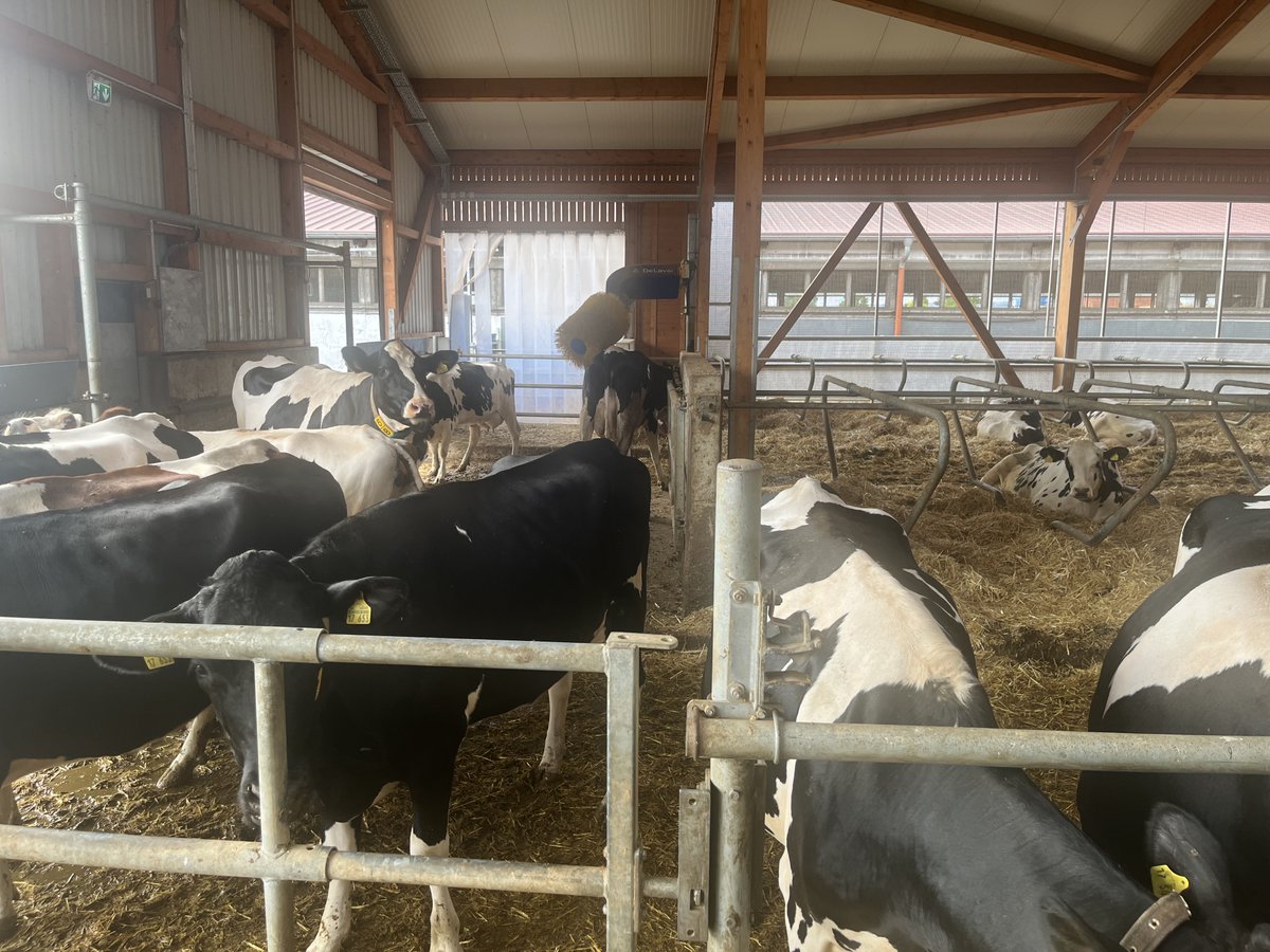 ICOS Germany tweet media