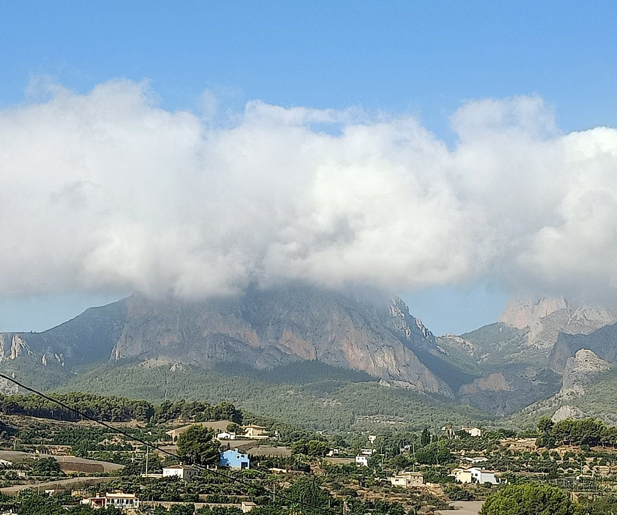 VicentBeltran4's tweet photo. Un dia d'estiu (Callosa d'en Sarrià). https://t.co/2OLCHvJ8kB