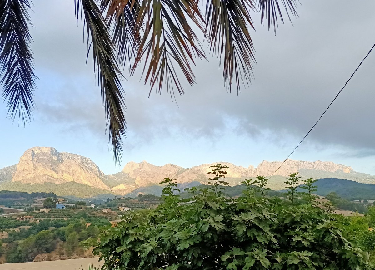 VicentBeltran4's tweet photo. Un dia d'estiu (Callosa d'en Sarrià). https://t.co/2OLCHvJ8kB