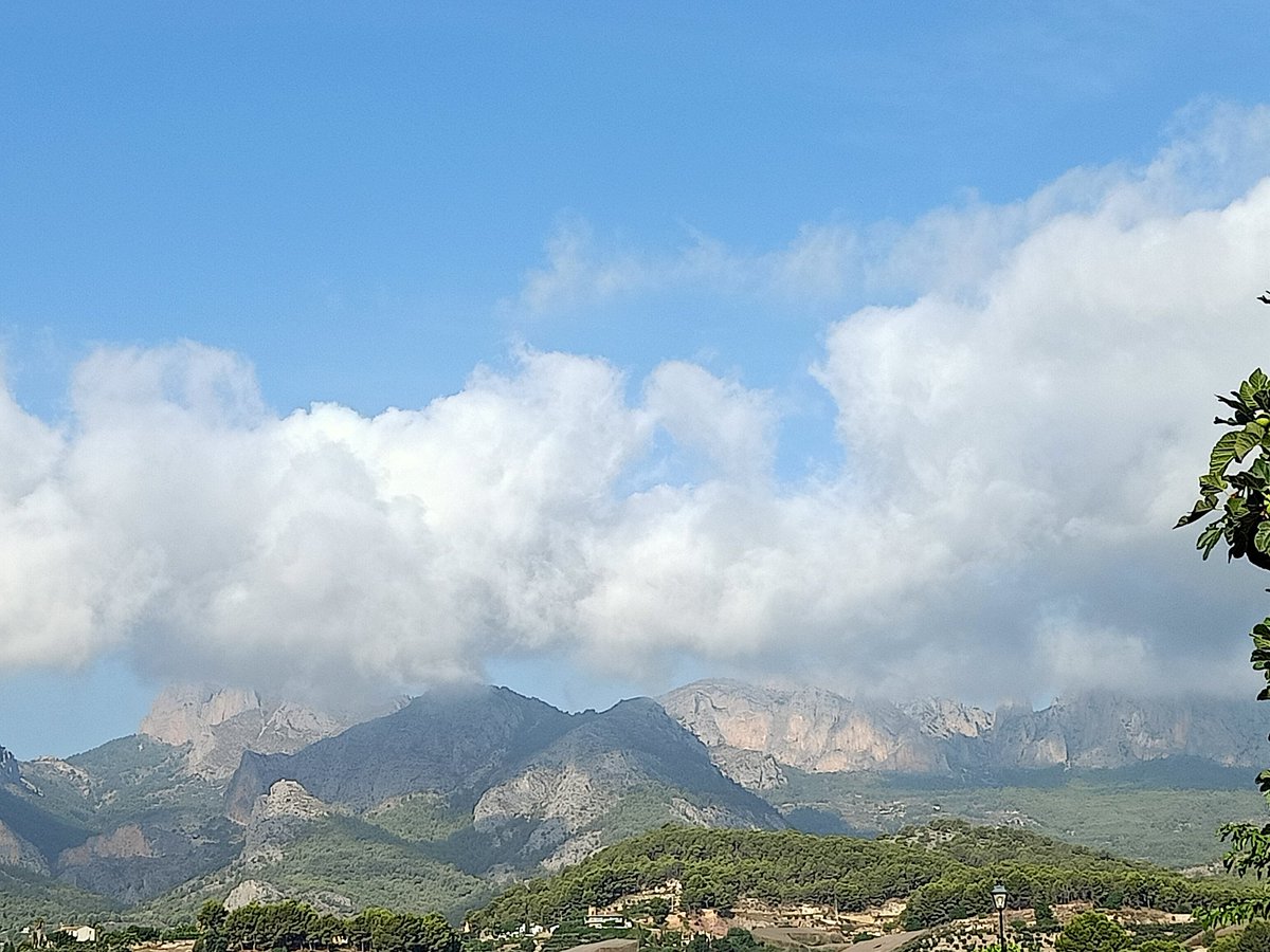 VicentBeltran4's tweet photo. Un dia d'estiu (Callosa d'en Sarrià). https://t.co/2OLCHvJ8kB