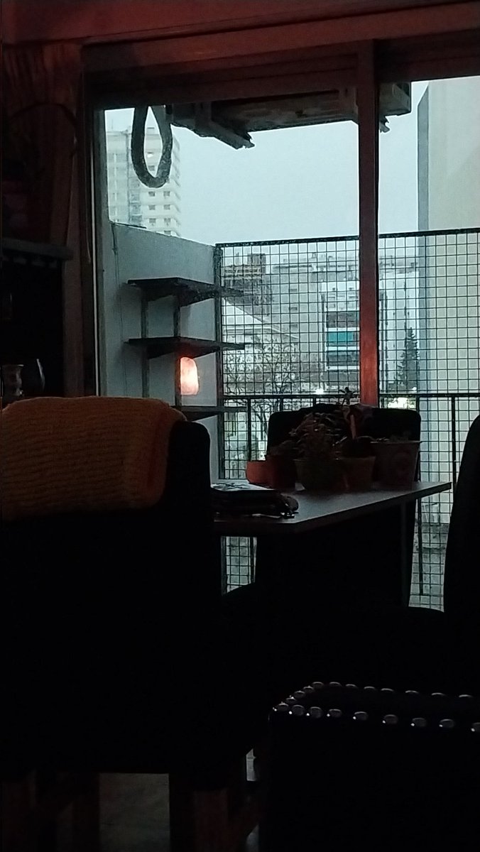 FloraK79's tweet photo. Viéndolos para olvidar la tormenta! #NADIEDICENADA https://t.co/lwOZPWHh1m