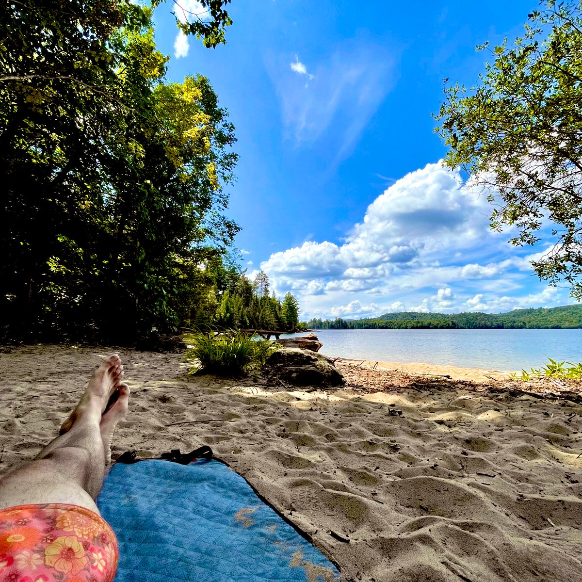 Què hi feu tots apinyats entre Blanes i Cadaqués? Aquí tenim una illa sencera per a nosaltres sols 🏝️

#ParcPoissonBlanc #Quebec