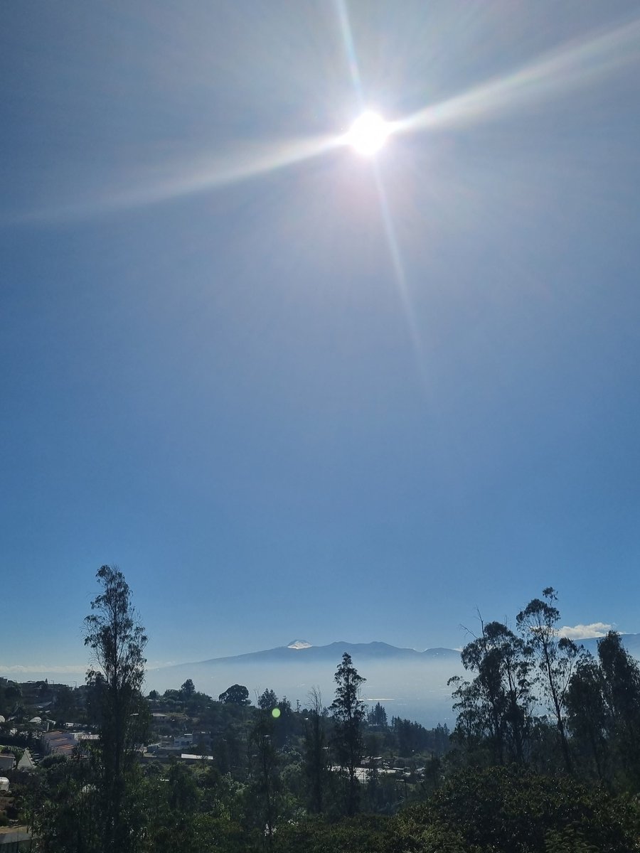 Sol Muñoz A. tweet media