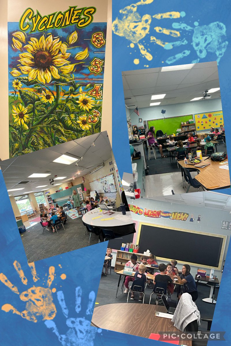 Tracy Overton tweet media