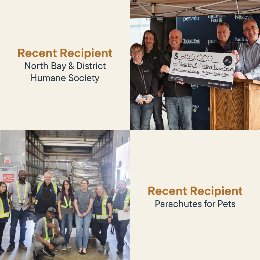 tisolpets's tweet photo. From Aug 17-30, help pets across Canada by rounding up your purchase and supporting our Companions for Change program!​​Round up your purchase at checkout and help change the life of a pet in need! 

#CompanionsForChange #RoundUpFurLove https://t.co/IcwcOvWUkq
