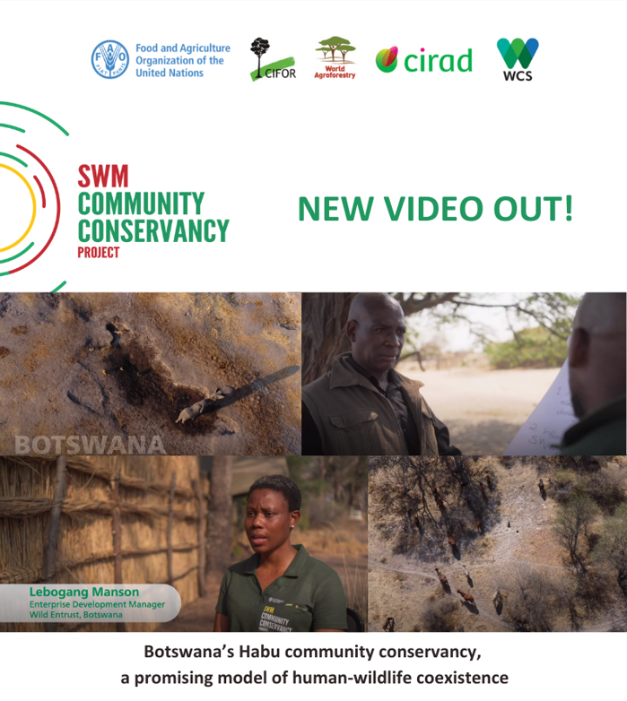 FAOBotswana's tweet photo. Discover the heartwarming stories of Habu Village, where people and wildlife coexist, fostering understanding and respect. Watch our documentary and be inspired! #CommunityConservancy #SWMProgramme #Coexistence
🔗 https://t.co/bZziv9PiFF https://t.co/vximfdbOX7