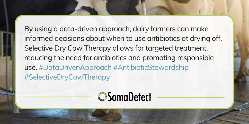 📊🐄 Harness the Power of Data-Driven Decisions in Dry Cow Treatment! Promote Responsible Antibiotic Use with Selective Dry Cow Therapy. 🚀💊

Dairy farmers, take control of your cow health with a data-driven approach! 

Learn more:mtr.cool/ssgcemosyf

#SelectiveDryCowTherapy
