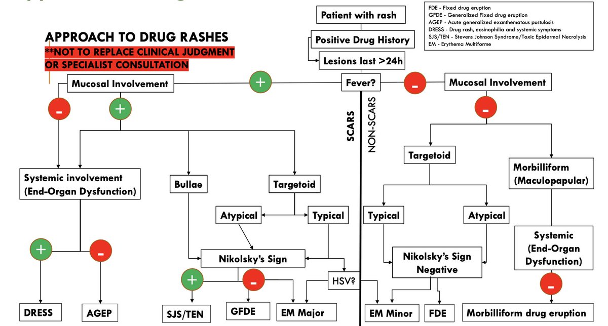 EM Ottawa tweet media