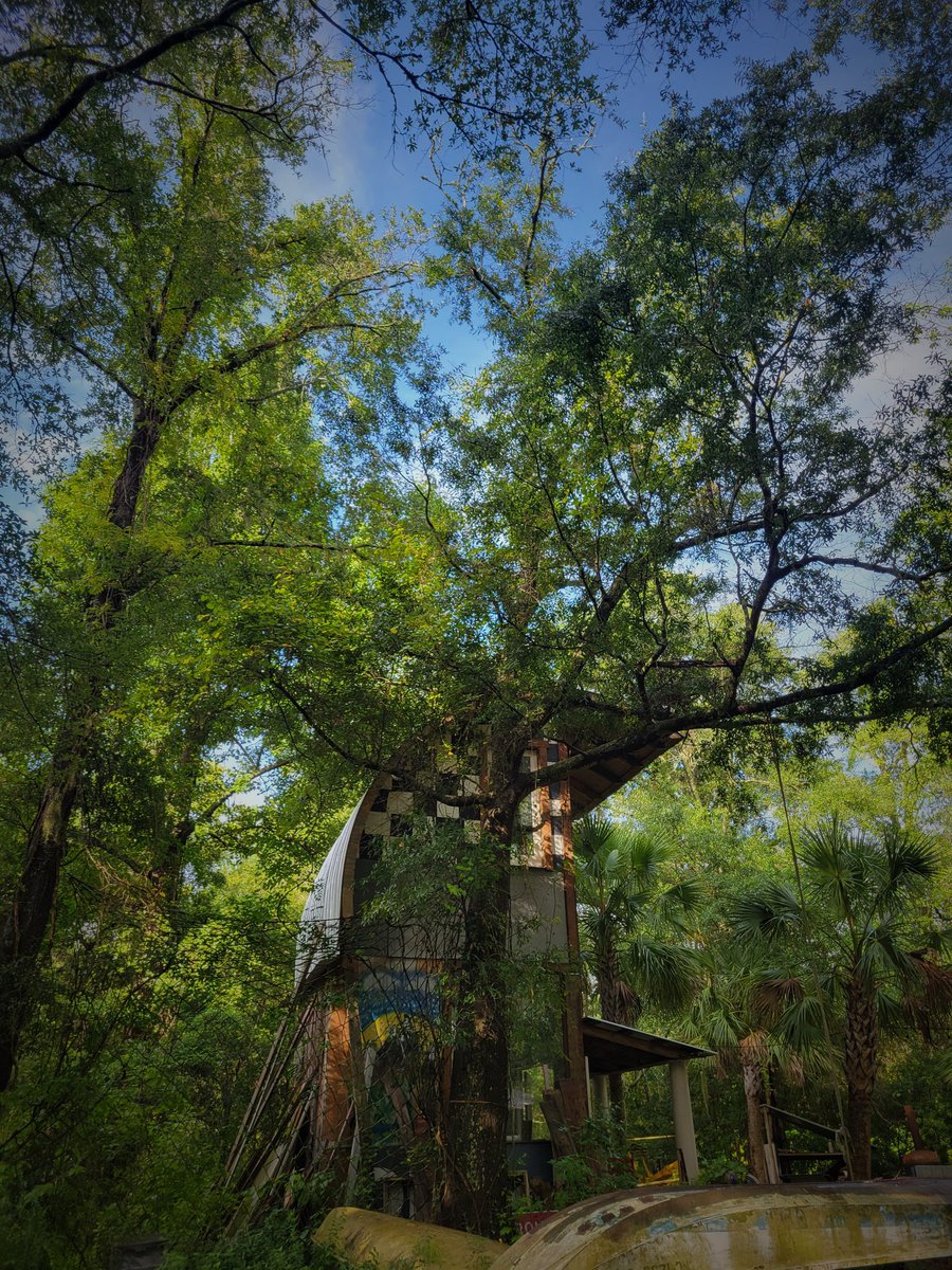 Barbara Murrisky tweet media