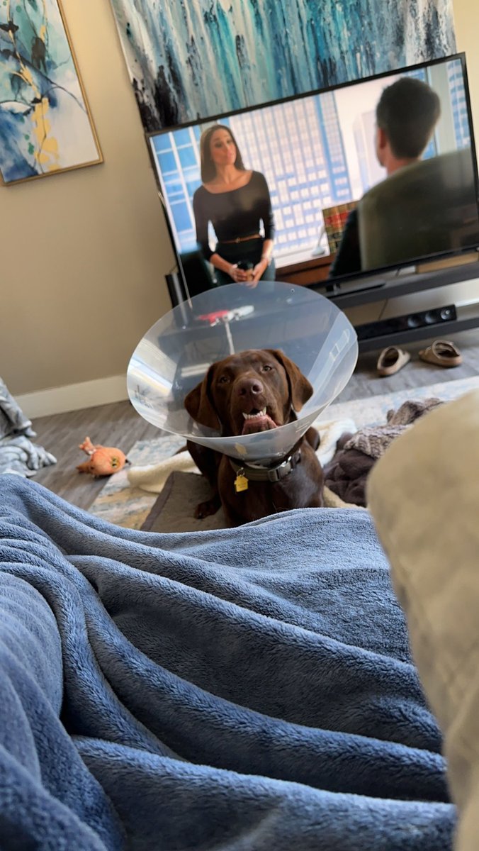 Yung_ryce's tweet photo. Not a big fan of the cone. https://t.co/xoLYZfA8Kg