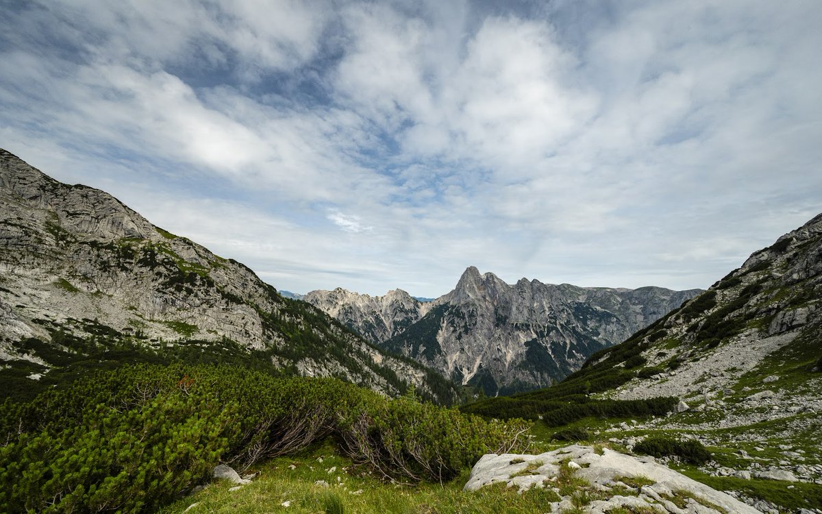 Michael Maroschek (@m_maroschek) on Twitter photo Just 3 more days left to apply - join us for a PhD <a href="/edfm_tum/">Ecosystem Dynamics and Forest Management TU Munich</a> & #BerchtesgadenNationalPark, studying mountain pine dynamics with a particular focus on an invasive alien pathogen. Full job ad (DE/EN) here:
nationalpark-berchtesgaden.bayern.de/service/karrie… Just 3 more days left to apply - join us for a PhD <a href="/edfm_tum/">Ecosystem Dynamics and Forest Management TU Munich</a> & #BerchtesgadenNationalPark, studying mountain pine dynamics with a particular focus on an invasive alien pathogen. Full job ad (DE/EN) here:
nationalpark-berchtesgaden.bayern.de/service/karrie…