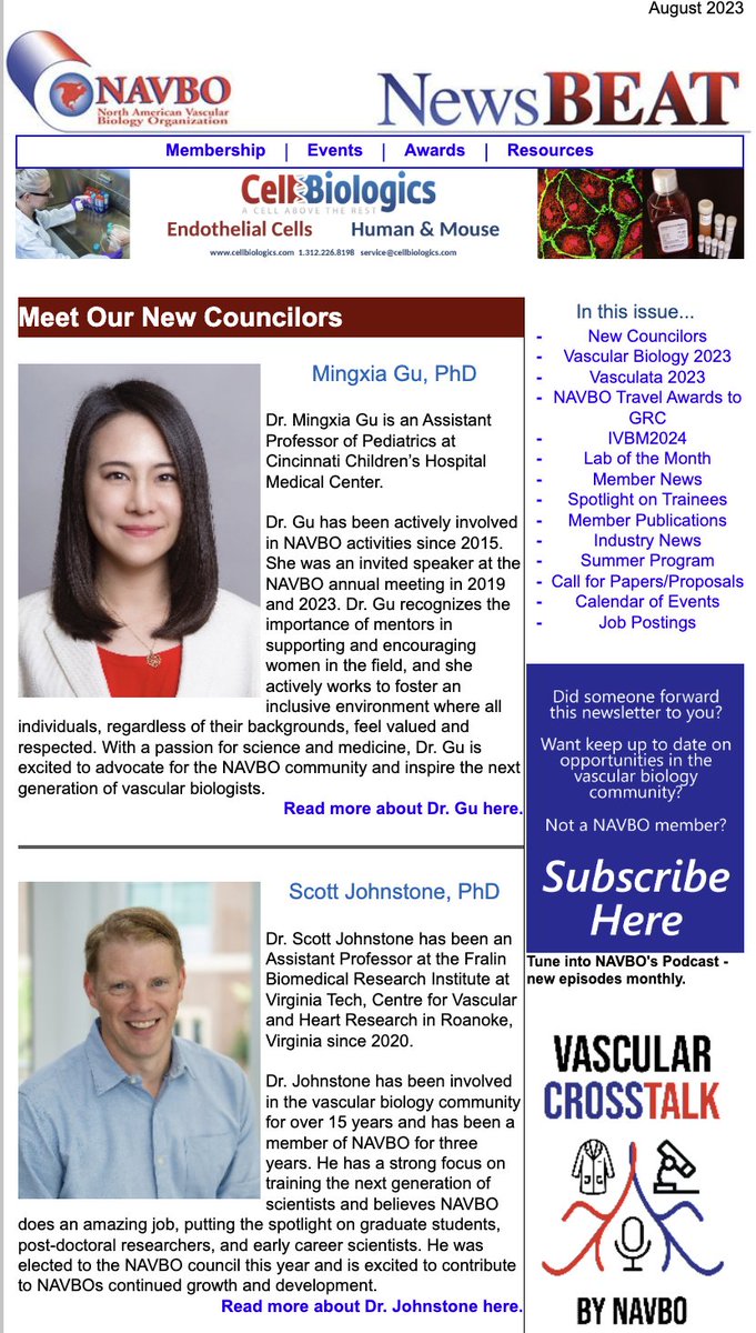 🎉 Thrilled to announce my election as a NAVBO Councilor! 🗳️ Grateful for your votes and belief in me. Excited to advocate for the vascular biology community and empower the future generation of scientists💪🔬 #VascularBiology #Gratitude @CuSTOMOrganoids @vascularbiology