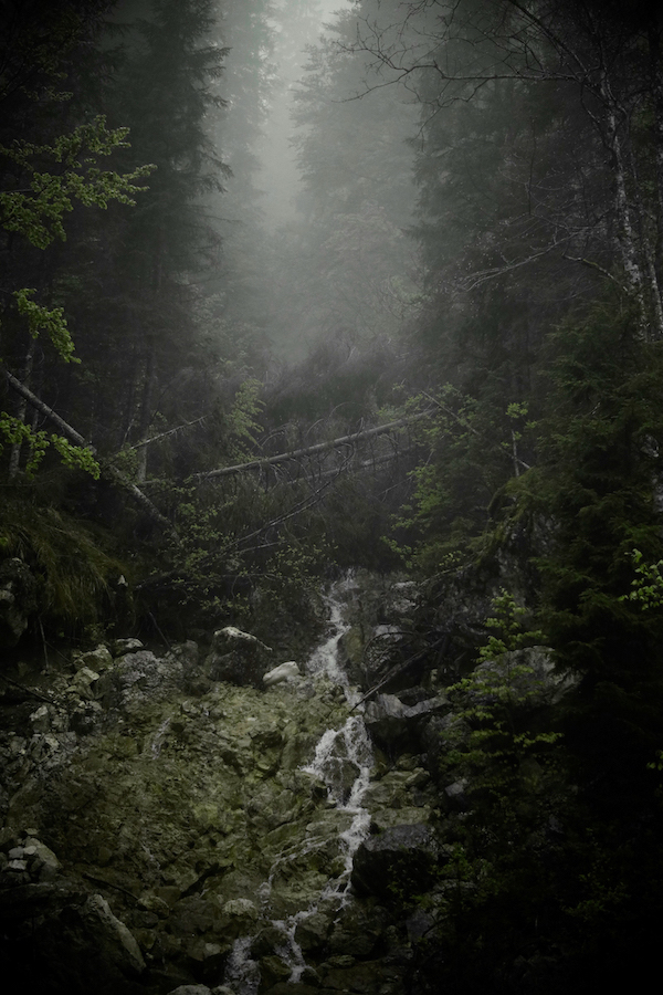 herbholzmann (@herbholzmann) on Twitter photo 