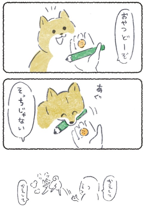 おやついらないからもっと遊びたい犬 