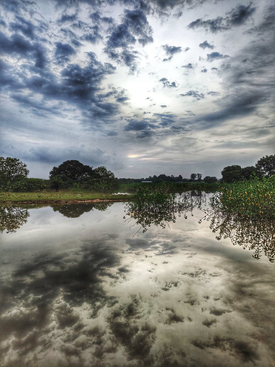 D C Pathak tweet media