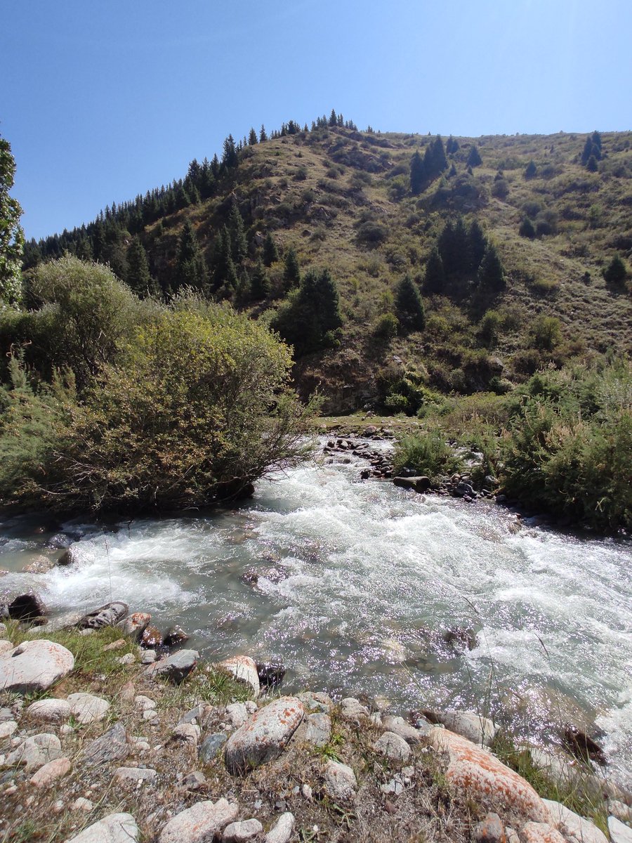 Erkin Karimov tweet media