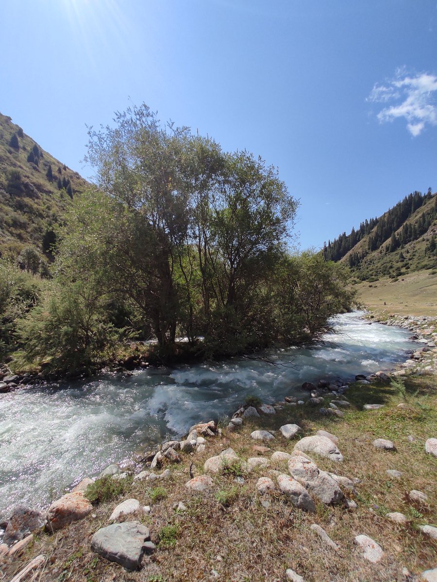 Erkin Karimov tweet media