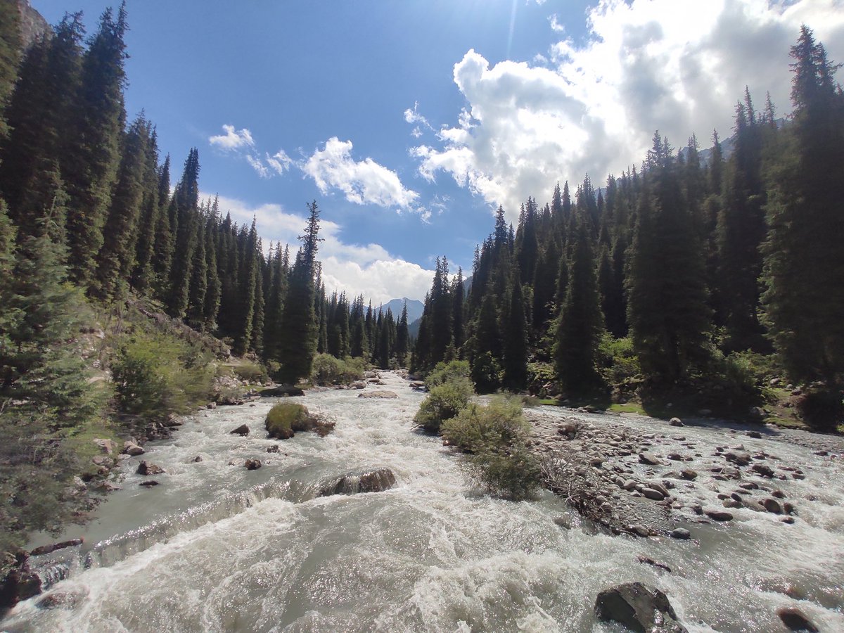 Erkin Karimov tweet media