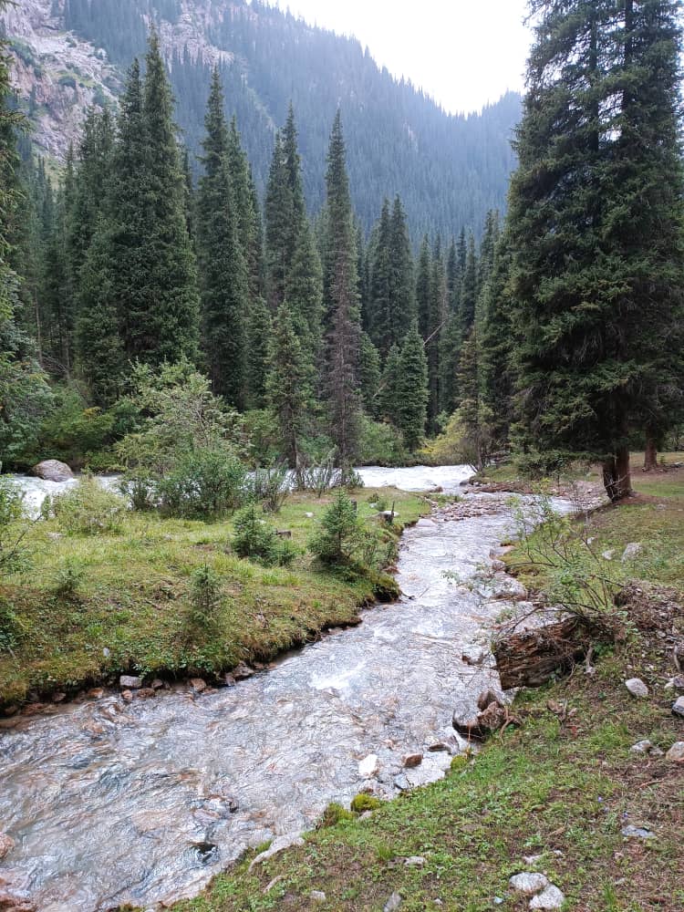 Erkin Karimov tweet media