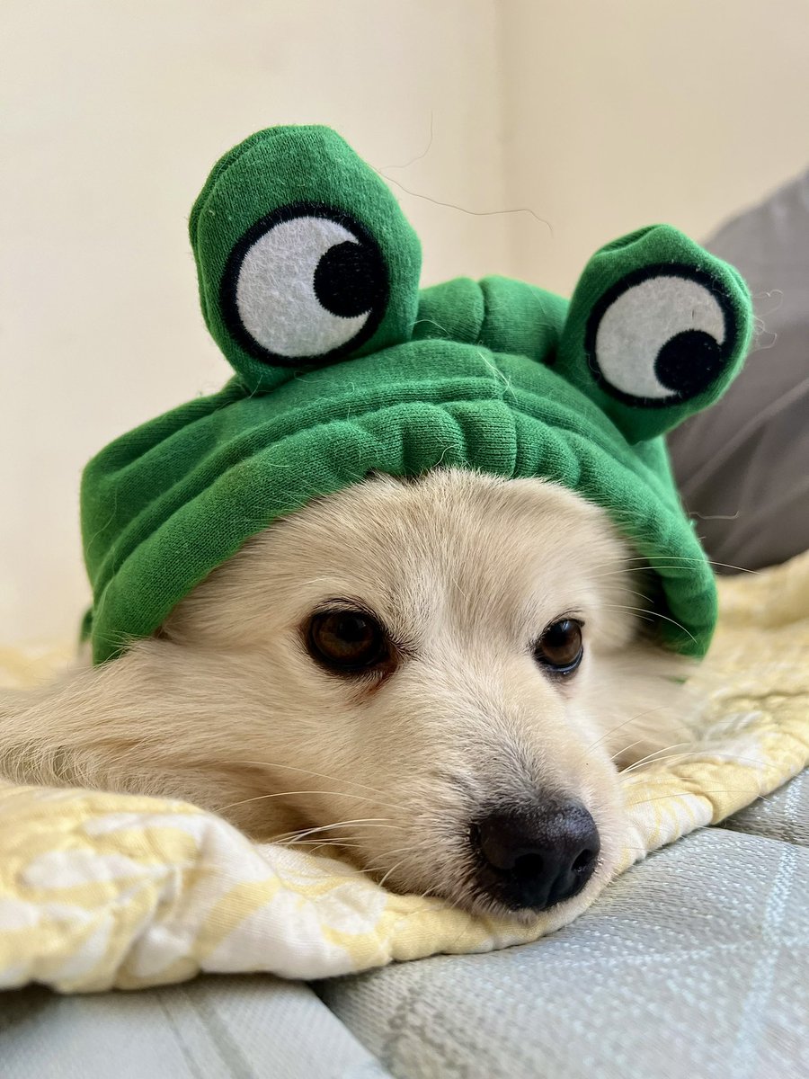 ugcbyann tweet media