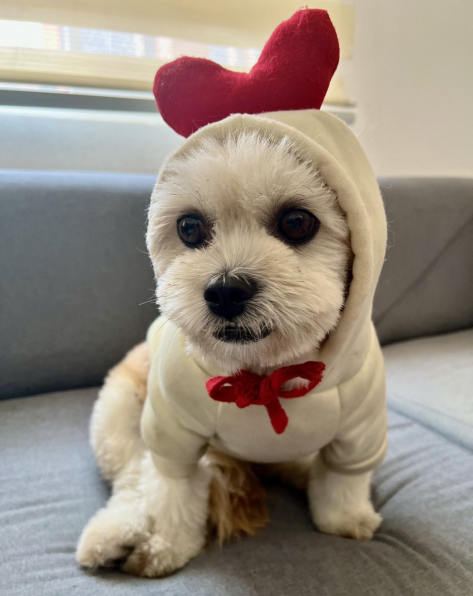 ugcbyann tweet media