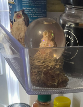 typhex's tweet photo. @kazuhavertz @forestwithout WTF DO  YOU HAVE IN UR FRIDGE https://t.co/TC6E7TAKeq