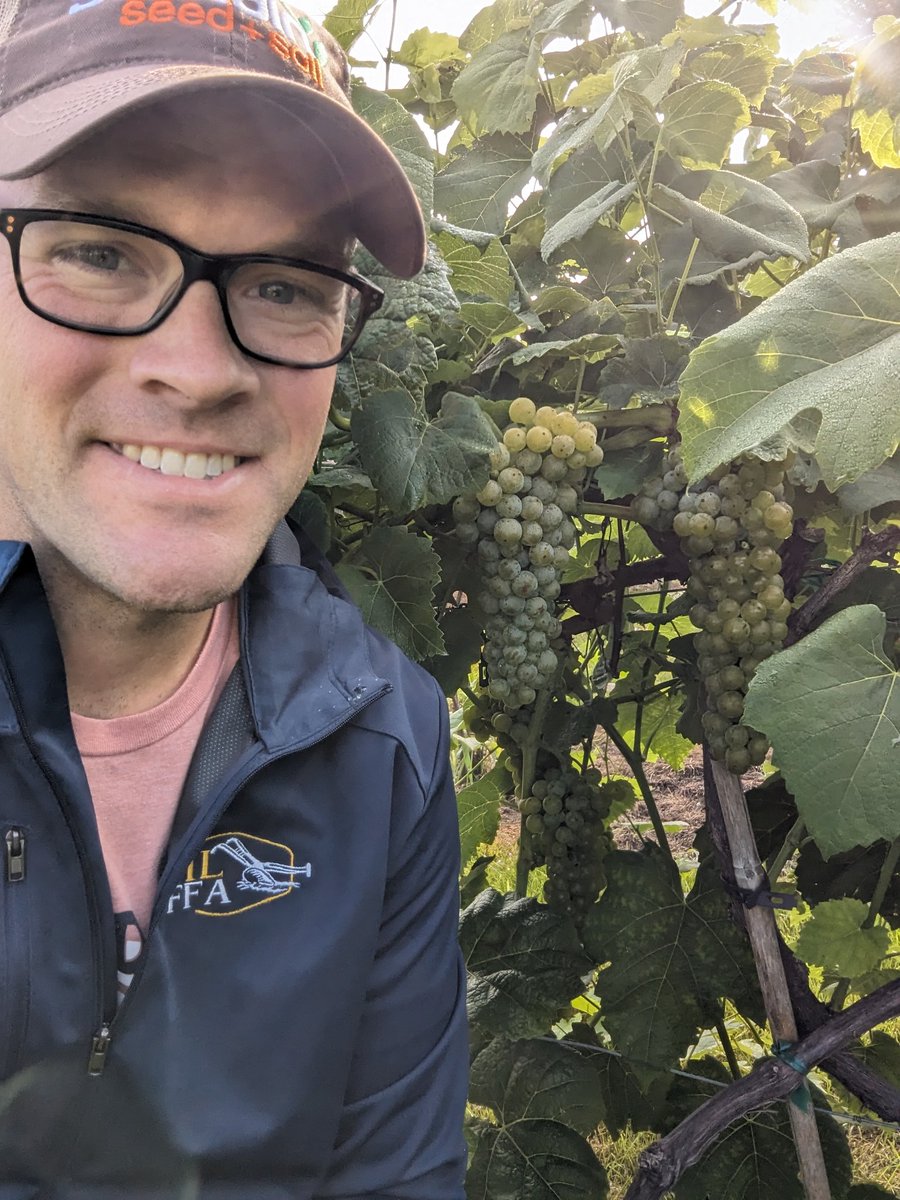 Matthew Elsass tweet media