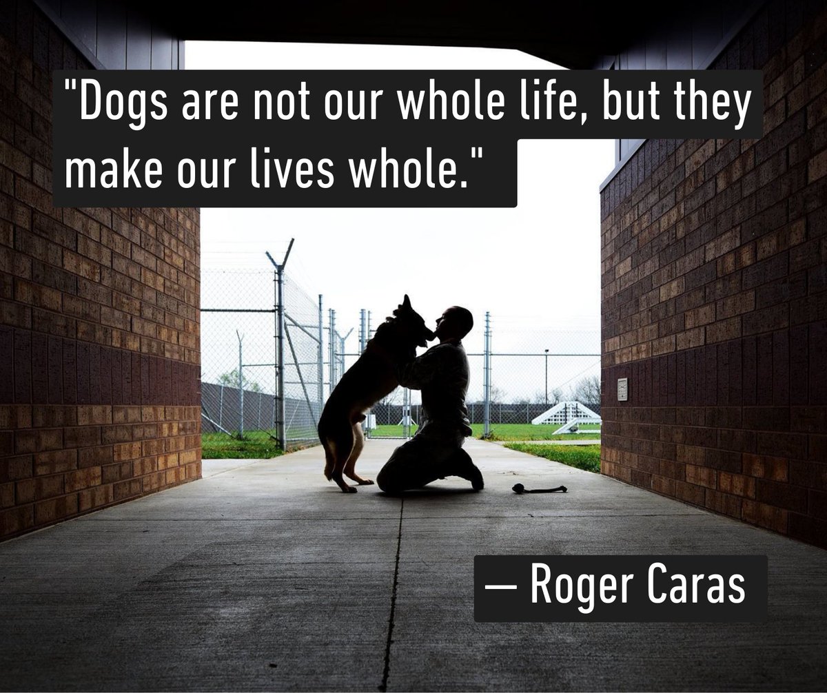 “Dogs are not our whole life, but they make our lives whole.” — Roger Caras #Veterans #Adopt #Dogs #DogRescue #BattleBuddies