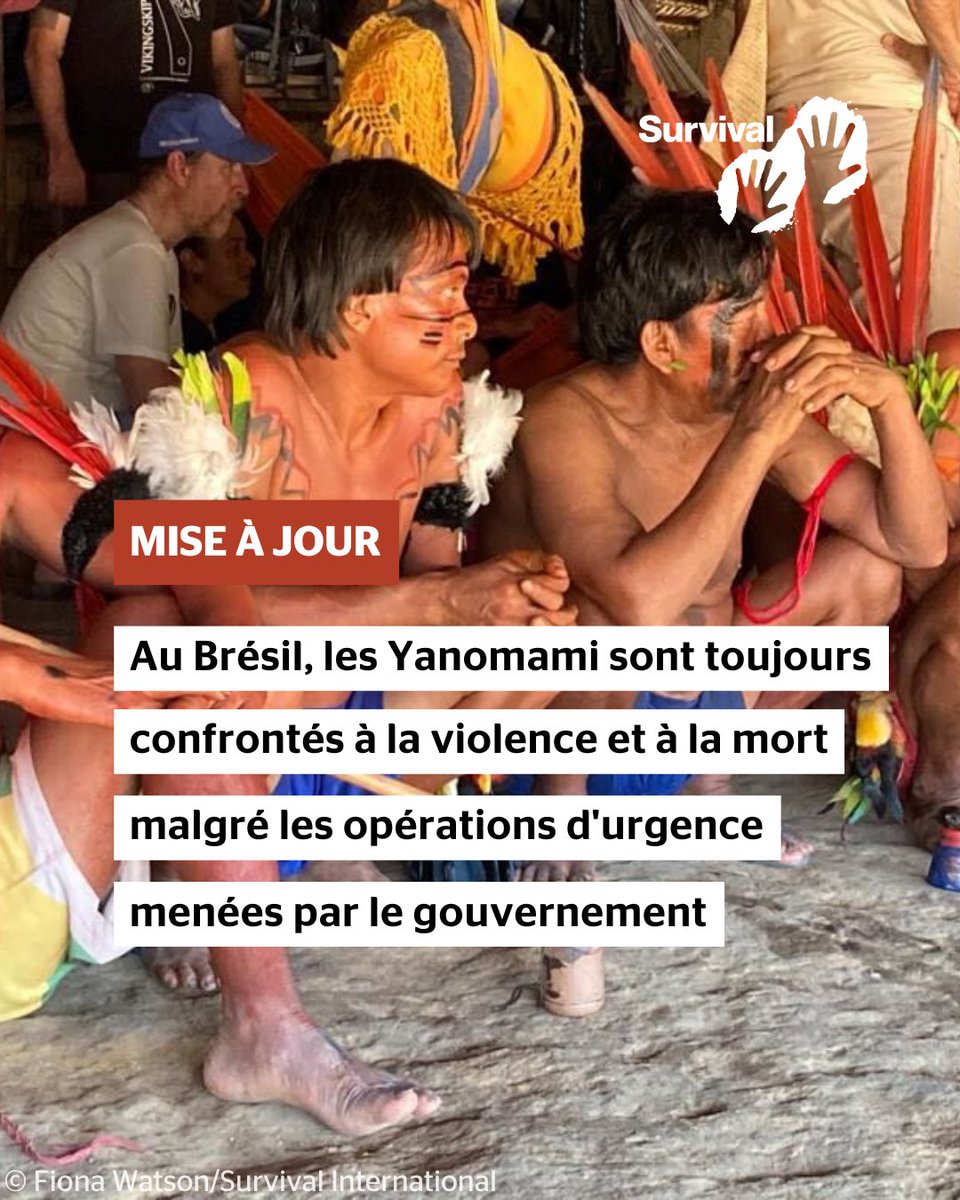 survivalfr's tweet photo. “Nous souffrons toujours”.

Tel est le titre du dernier rapport des organisations yanomami et ye’kwana détaillant les résultats de l’opération d’urgence menée par le gouvernement brésilien pour résoudre la crise dans le territoire yanomami.

1/2 https://t.co/Lu1vkEuEou