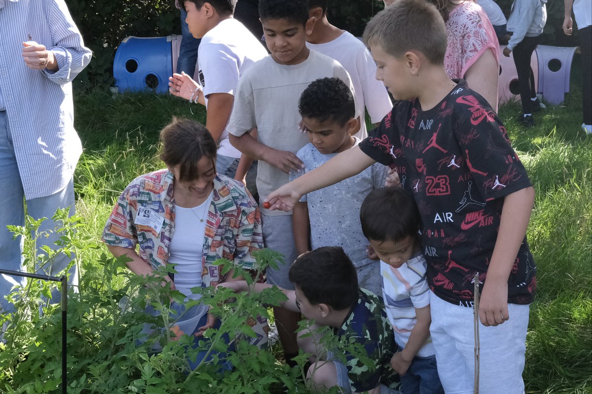 School Food Matters tweet media