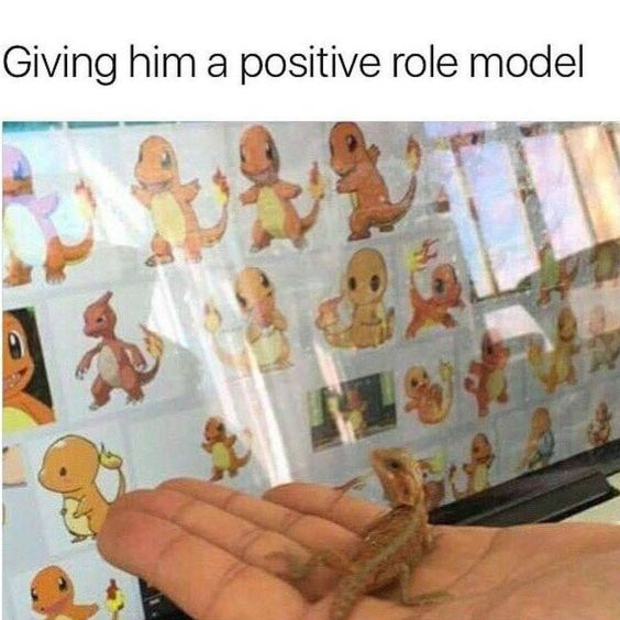 WholesomeMeme's tweet photo. https://t.co/QN5TFJPCcb