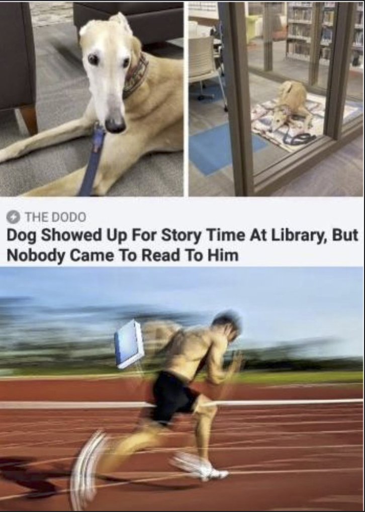 Respectful Memes (@respectfulmemes) on Twitter photo 