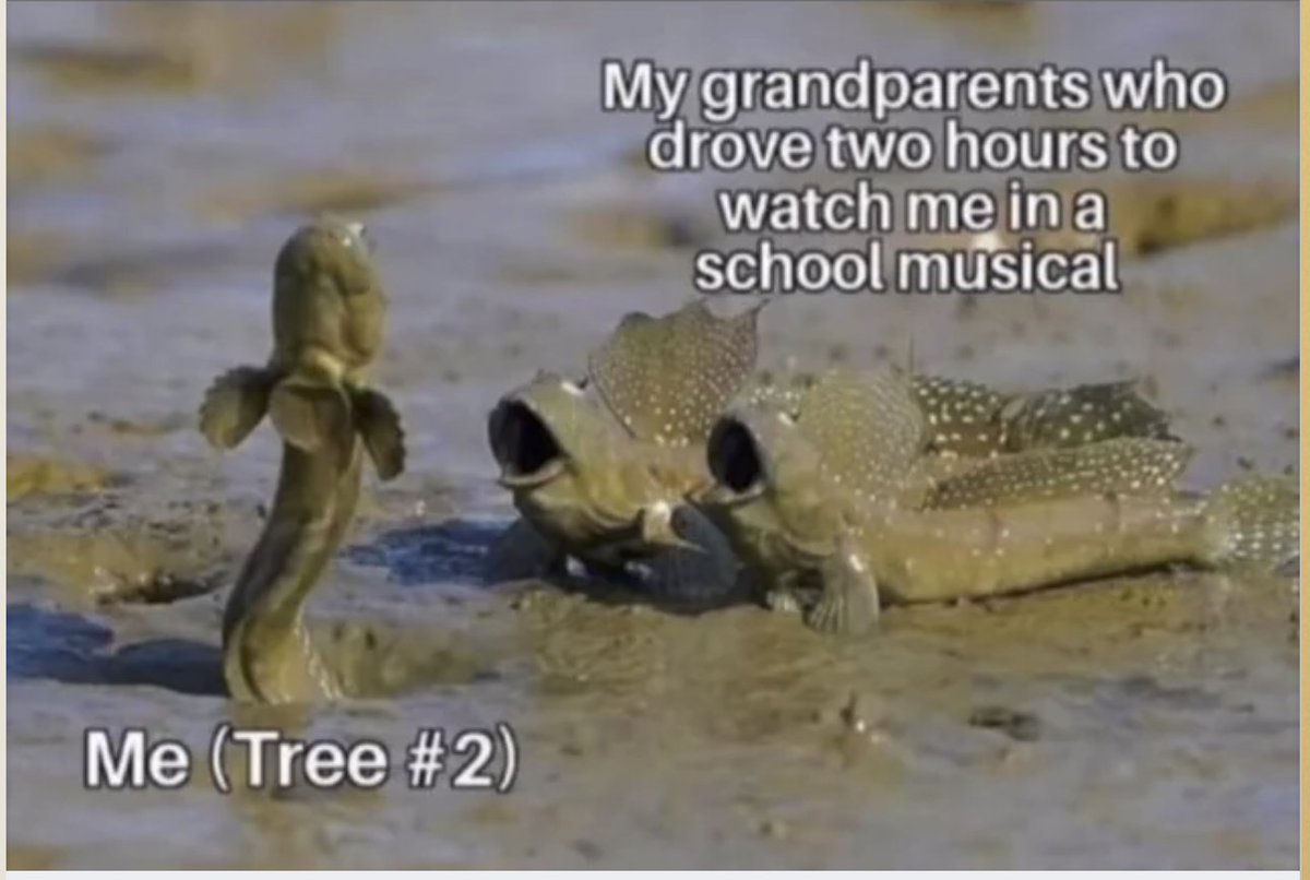 Respectful Memes tweet media