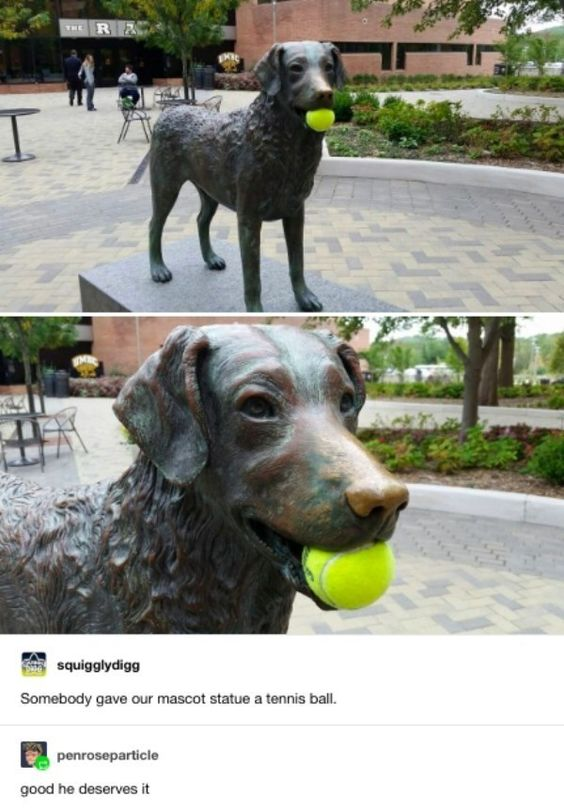 WholesomeMemes (@wholesomememe) on Twitter photo 