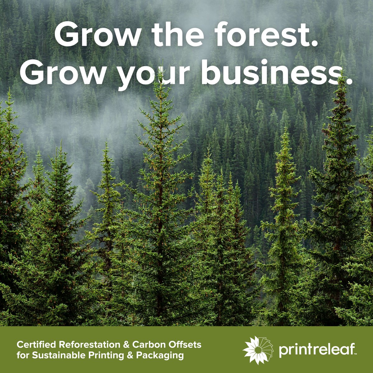Grow the forests. Grow your business. 🌿 PrintReleaf offers a certified sustainability solution that offers added value to customers and benefits your bottom line.

Start reaching your business and climate goals today! 
hubs.li/Q01ZNS310