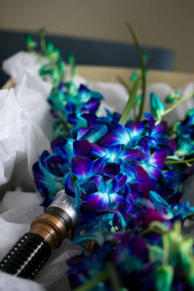 pagesoobfn's tweet image. Ren pun tersenyum melihat beberapa tamu yang kini mendekatkan diri ke arah panggung. 

"Bagi yang ingin lekas menikah atau bertemu jodohnya, mari merapat! Kepada Althea dan Matthew, dipersilahkan untuk memulai sesi pelemparan bunga" 

#MattTheaInfinity
(@axquamenti &amp;amp; @matchachs)