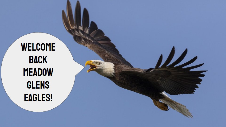 Happy First Day of School Meadow Glens Eagles! We are so happy to have you back in the 'eagle's nest' and can't wait to SOAR with you into this school year! #elevate203