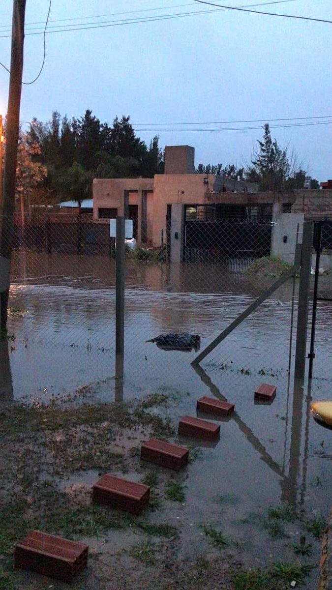 chikdelcable's tweet photo. @JulioGarro No tenes cara. Realmente no sabes lo que es sufrir la falta de obras porque no se te ocurre poner un pie en los barrios de la periferia platense. Pero para vos es más importante hacer un metrobus que entubar zanjas. #sicardi #pasadoxagua https://t.co/xzYjCAb4n0
