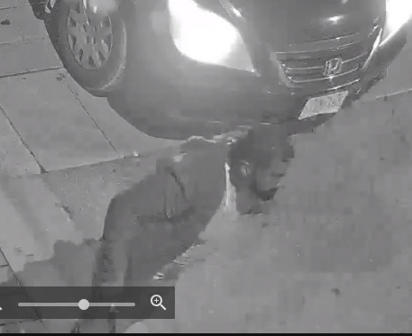 Media Release: Police seek to identify suspects - barriepolice.ca/police-seek-to… On Sunday, August 13, 2023, at approximately 2:45 a.m., Barrie Police to multiple disturbances outside...