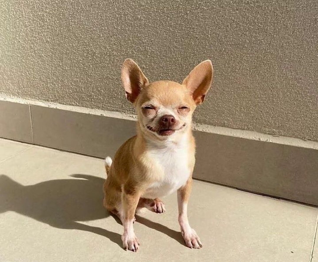 CUANDO VEO ER FIN DE CEMANA ASERCARSE POCO A POCO
