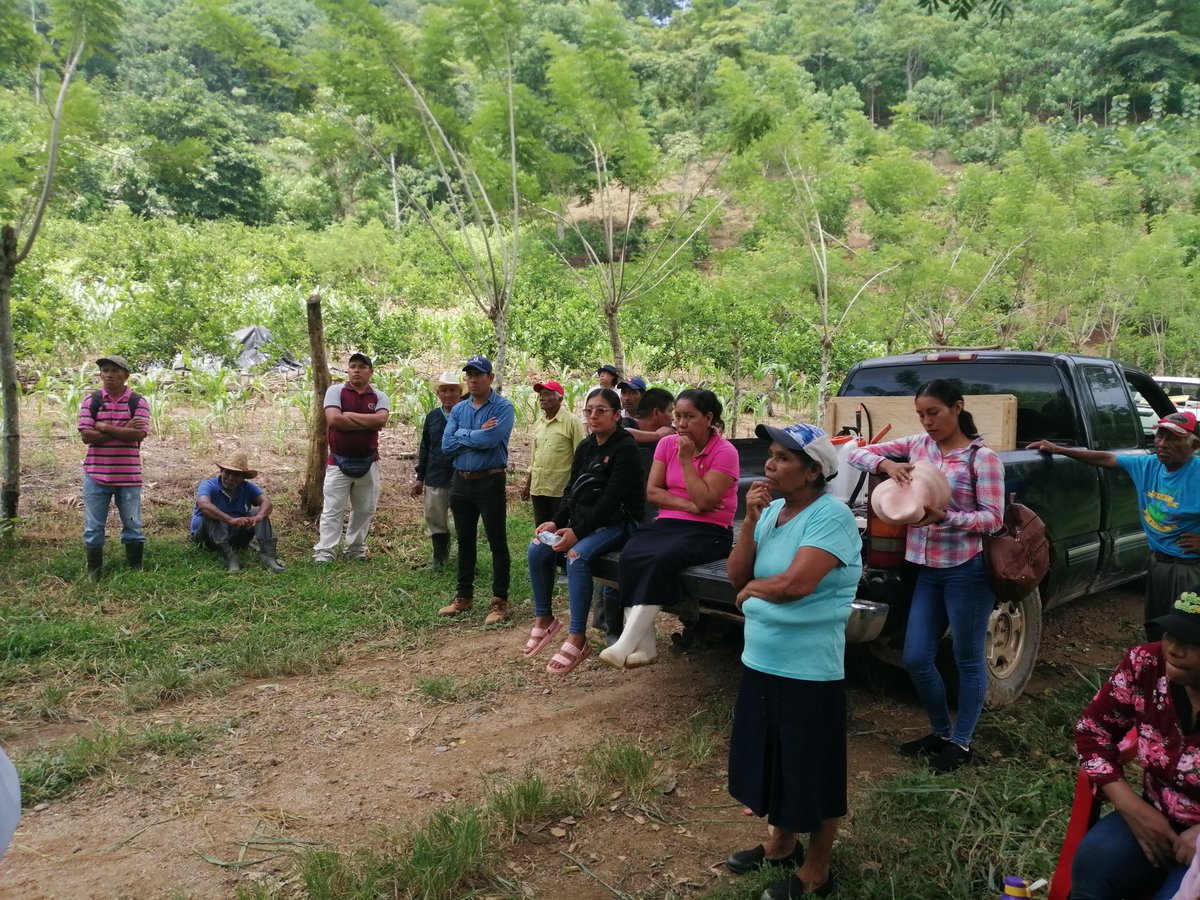 HubPSurCimmyt's tweet image. La agricultura sustentable se promueve fuertemente en #Oaxaca en vinculación entre equipo de #SembrandoVida y el #HubPSur se habló sobre las innovaciones para impulsarla, apoyando el desarrollo de los productores del IstmoHúmedo @ACCIMMYT @Jelle_VanLoon @CIMMYTesp @bramaccimmyt